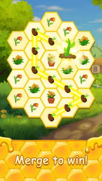 Honey Bottles - merge puzzle (Хани Ботлс) [МОД: Много монет, Открытые уровни и Мега MOD] Screenshot 2
