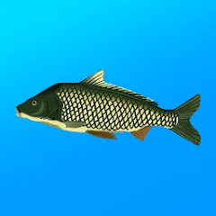 Скачать True Fishing. Simulator [МОД: Все открыто, Дополнительные деньги и Меню MOD] | Взлом True Fishing. Simulator на Андроид