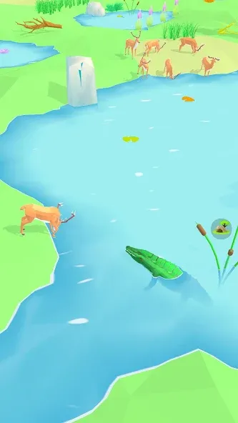 Animal Wildlife (Энимал Вайлдлайф) [МОД: Много денег, Монет и Все открыто] Screenshot 1