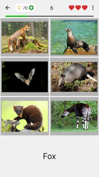 Animals Quiz Learn All Mammals [МОД: Деньги, Монеты и Меню MOD] Screenshot 2