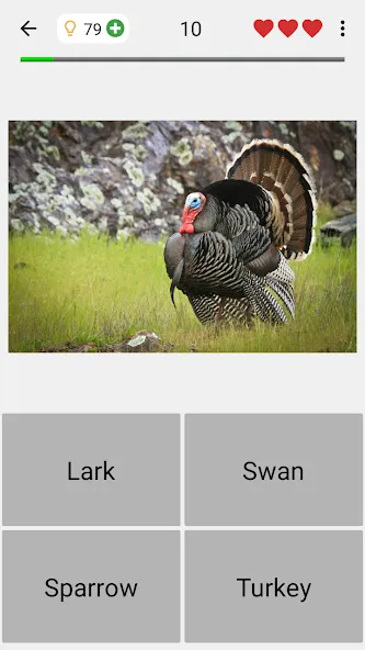 Animals Quiz Learn All Mammals [МОД: Деньги, Монеты и Меню MOD] Screenshot 4