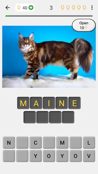 Cats Quiz Guess Popular Breeds [МОД: Деньги, Монеты и Меню MOD] Screenshot 1
