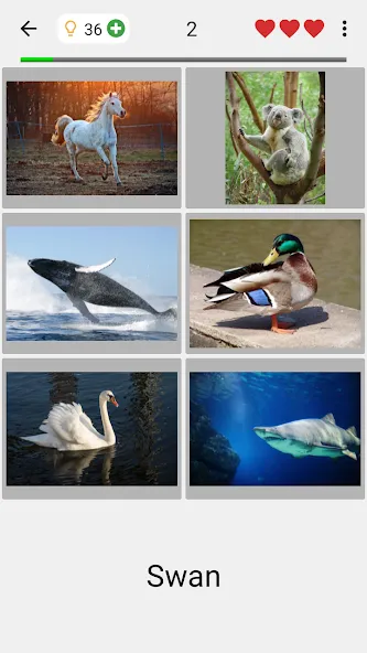 Guess Pictures and Words Quiz [МОД: Меню, Бесконечные монеты и Открытые уровни] Screenshot 2