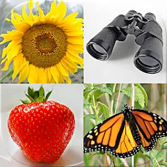 Скачать Guess Pictures and Words Quiz [МОД: Меню, Бесконечные монеты и Открытые уровни] | Взлом Guess Pictures and Words Quiz на Андроид