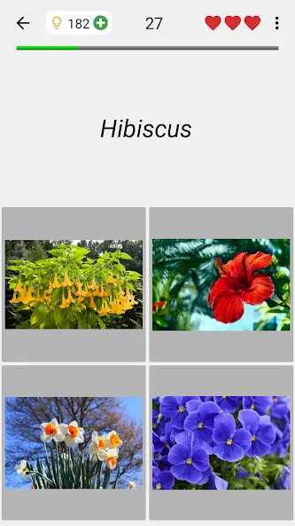 Flowers Quiz - Identify Plants [МОД: Много денег, Монет и Все открыто] Screenshot 4