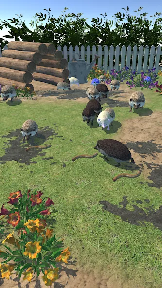 Hedgehog Friends (Хеджхог Френдс) [МОД: Бесконечные деньги, Монеты и Мега MOD] Screenshot 2