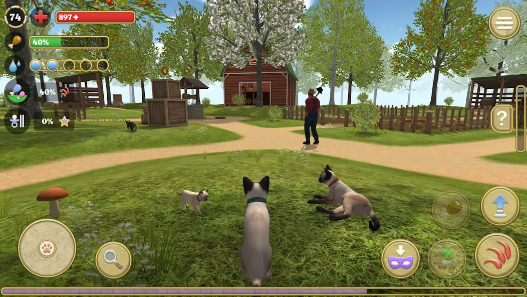 Cat Simulator : Kitties Family [МОД: Деньги, Монеты и Меню MOD] Screenshot 1