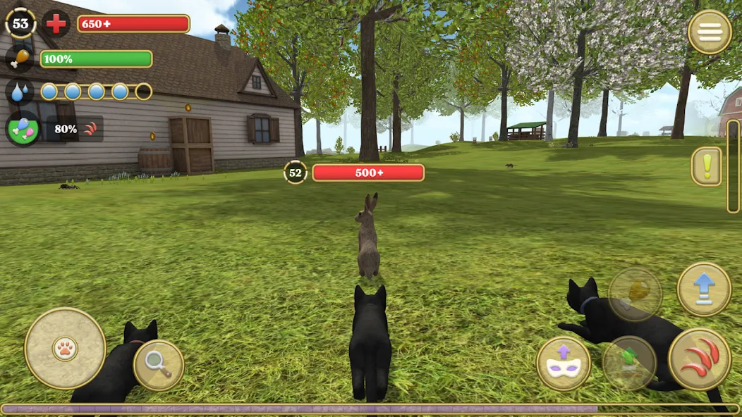 Cat Simulator : Kitties Family [МОД: Деньги, Монеты и Меню MOD] Screenshot 2