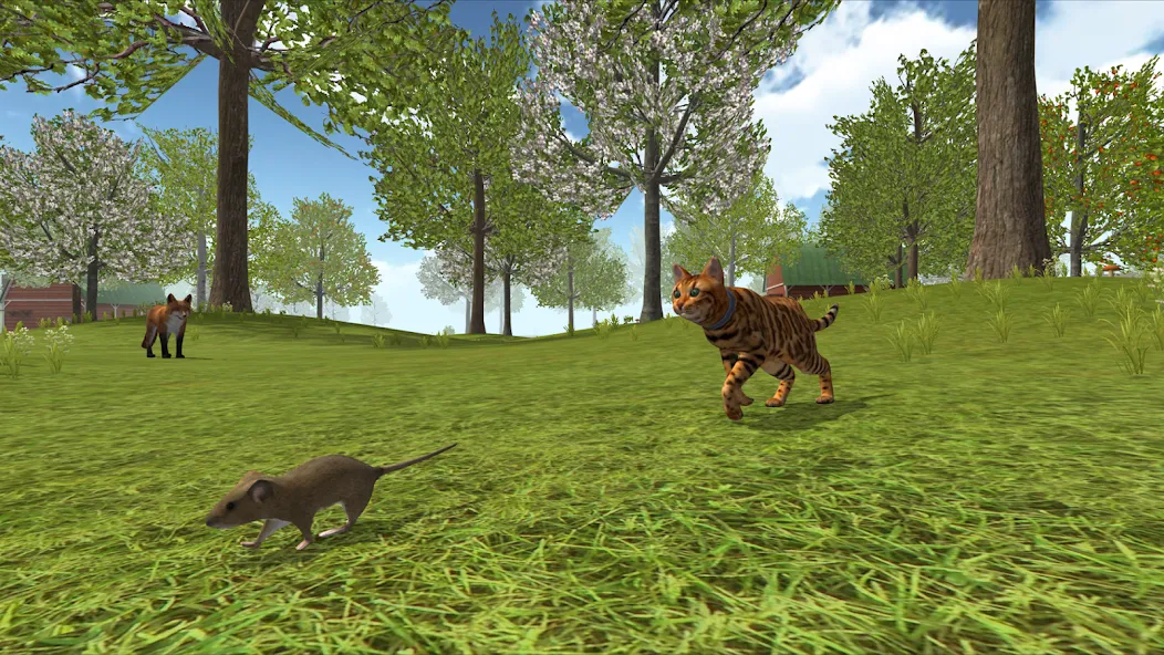 Cat Simulator : Kitties Family [МОД: Деньги, Монеты и Меню MOD] Screenshot 4