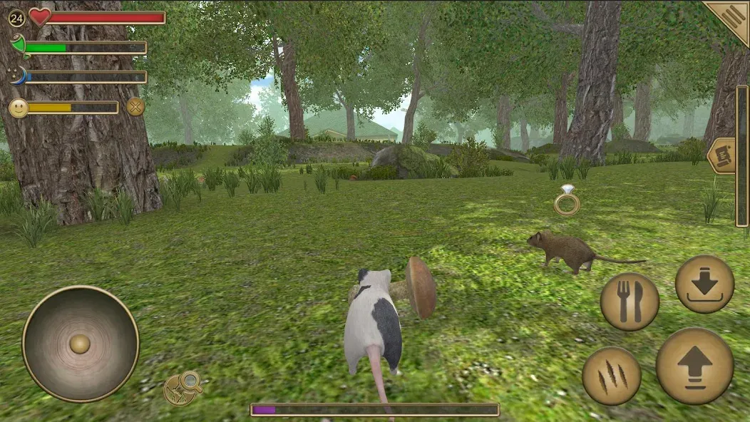 Mouse Simulator :  Forest Home [МОД: Много денег, Монет и Все открыто] Screenshot 1