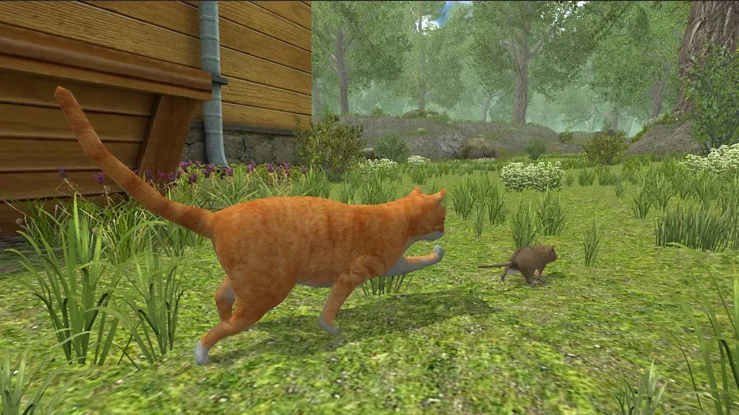 Mouse Simulator :  Forest Home [МОД: Много денег, Монет и Все открыто] Screenshot 3