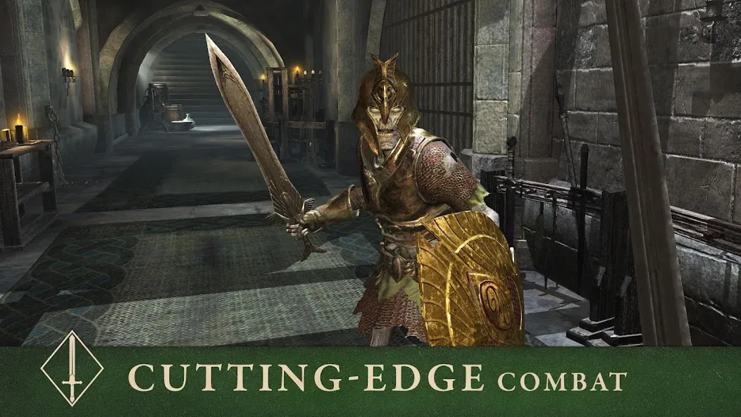 The Elder Scrolls: Blades (Зе Элдер Скроллс) [МОД: Много денег, Монет и Все открыто] Screenshot 5