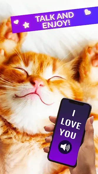 Cat Translator Pet Talk Meow [МОД: Бесконечные деньги, Монеты и Мега MOD] Screenshot 3