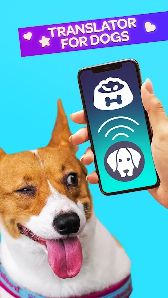 Dog Translator Pet Speak Talk [МОД: Много монет, Открытые уровни и Мега MOD] Screenshot 1