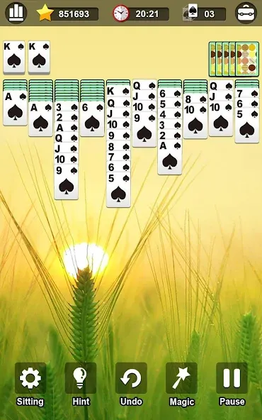 Spider Solitaire [МОД: Бесконечные деньги, Монеты и Мега MOD] Screenshot 3