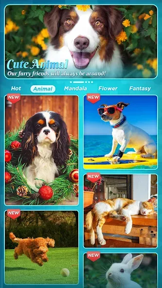 Jigsaw Puzzles [МОД: Все открыто, Дополнительные деньги и Меню MOD] Screenshot 5