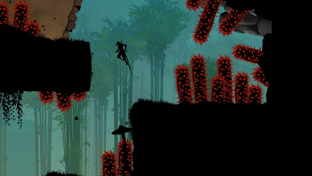 Ninja Arashi 2 (Ниндзя Араши 2) [МОД: Много монет, Открытые уровни и Мега MOD] Screenshot 1