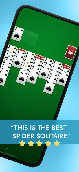 Spider Solitaire [МОД: Много денег, Монет и Все открыто] Screenshot 1
