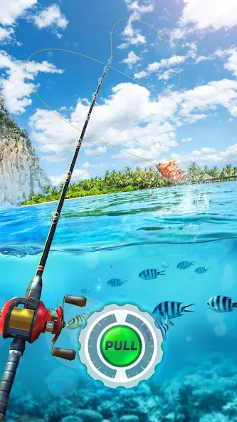 Fishing Rival 3D (Фишинг Ривал 3Д) [МОД: Все открыто, Дополнительные деньги и Меню MOD] Screenshot 1