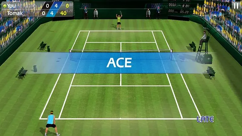 3D Tennis [МОД: Все открыто, Дополнительные деньги и Меню MOD] Screenshot 2