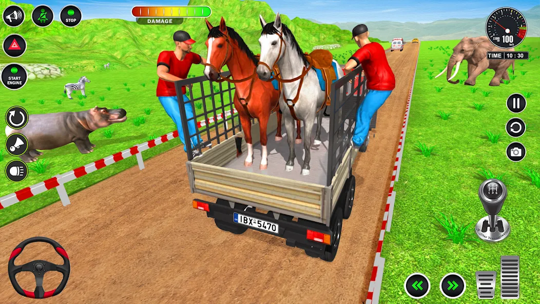 Animal Transport Truck Game 3D (Игра Грузовик для перевозки животных) [МОД: Деньги, Монеты и Меню MOD] Screenshot 4