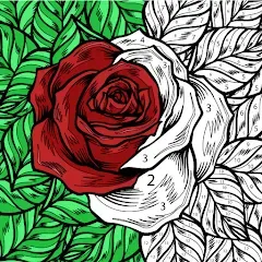 Скачать Color by Number: Coloring Book [МОД: Бесконечные деньги, Монеты и Мега MOD] | Взлом Color by Number: Coloring Book на Андроид