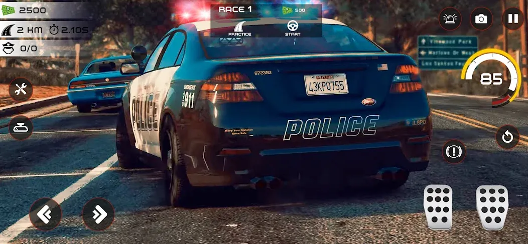Highway Police Chase Simulator [МОД: Деньги, Монеты и Меню MOD] Screenshot 2