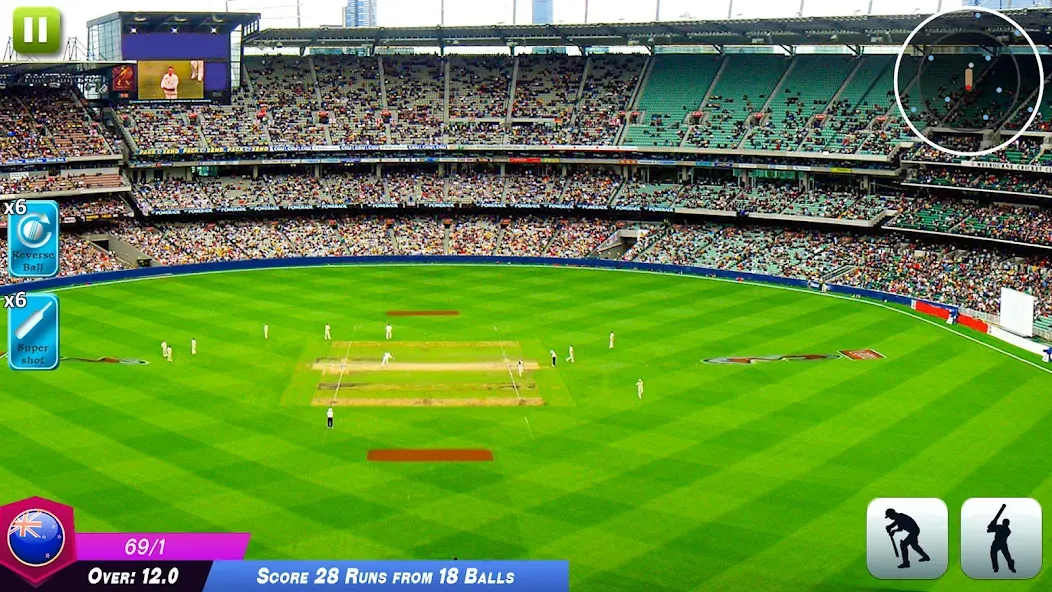 World Cricket Games Offline [МОД: Бесконечные деньги, Монеты и Мега MOD] Screenshot 3