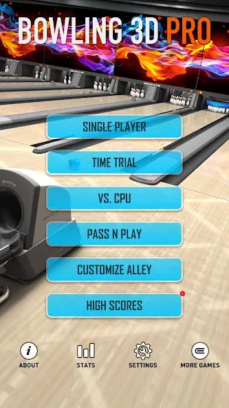 Bowling 3D Pro (Боулинг 3D Про) [МОД: Много монет, Открытые уровни и Мега MOD] Screenshot 4