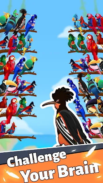 Bird Puzzle - Color Game [МОД: Меню, Бесконечные монеты и Открытые уровни] Screenshot 2