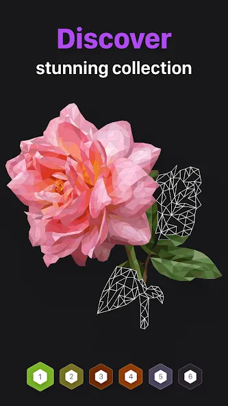 Polygon — Art Coloring Book (Полигон) [MOD: Все открыто] - Скриншот 2