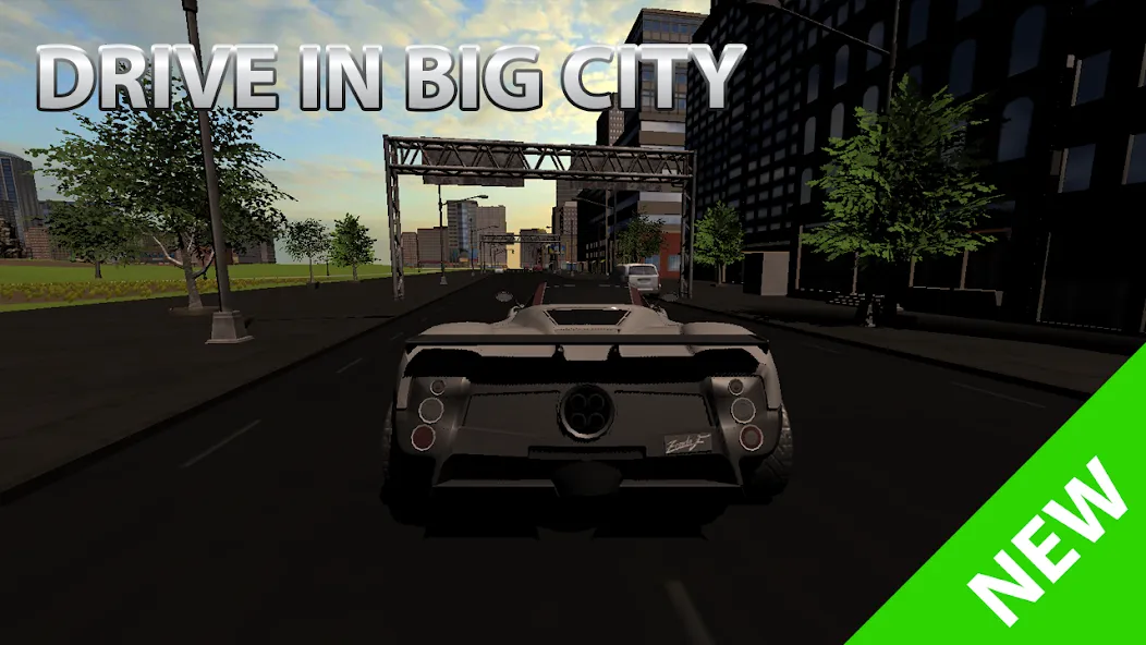 Car Simulator 3 [МОД: Много монет, Открытые уровни и Мега MOD] Screenshot 5