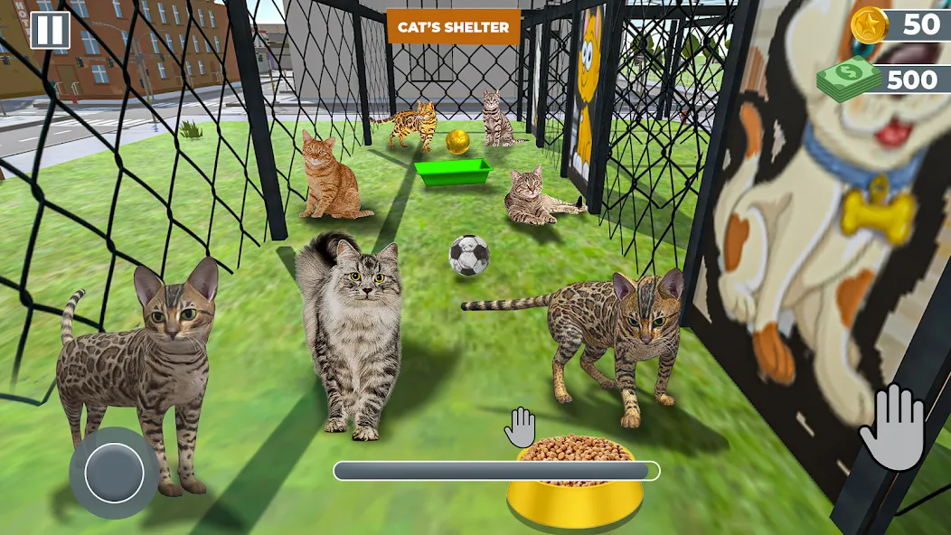 Animal Shelter: Pet Rescue 3D [МОД: Деньги, Монеты и Меню MOD] Screenshot 2