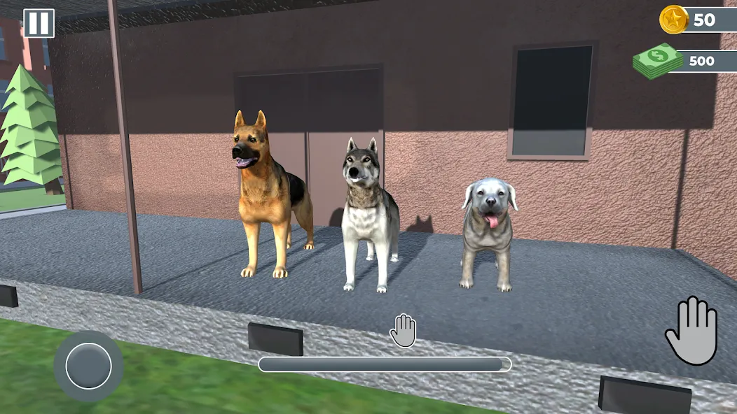 Animal Shelter: Pet Rescue 3D [МОД: Деньги, Монеты и Меню MOD] Screenshot 3