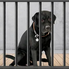 Скачать Animal Shelter: Pet Rescue 3D [МОД: Деньги, Монеты и Меню MOD] | Взлом Animal Shelter: Pet Rescue 3D на Андроид