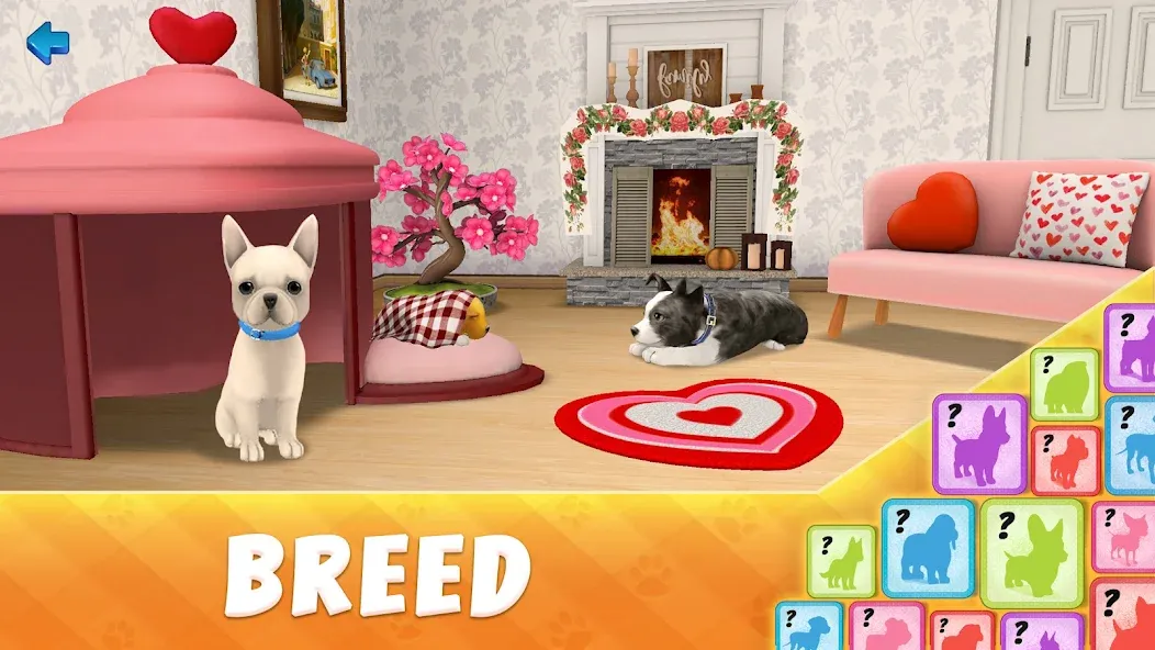 Dog Town: Puppy Pet Shop Games (Догтаун) [МОД: Деньги, Монеты и Меню MOD] Screenshot 5