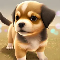 Скачать Dog Town: Puppy Pet Shop Games (Догтаун) [МОД: Деньги, Монеты и Меню MOD] | Взлом Dog Town: Puppy Pet Shop Games на Андроид