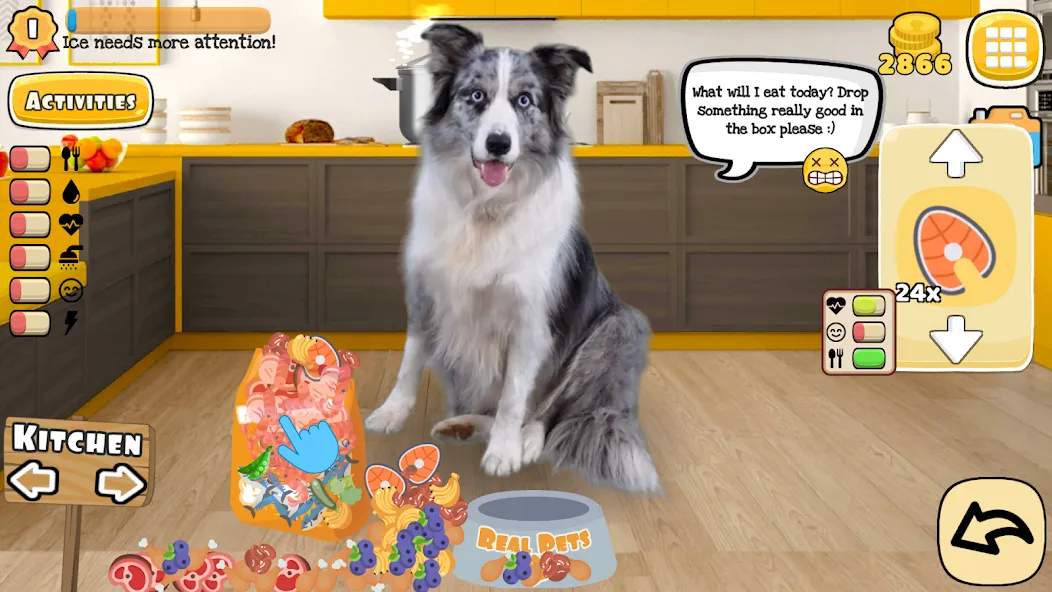 Adopt a pet : Corgi Games (Риал Петс бай Фруви) [МОД: Бесконечные деньги, Монеты и Мега MOD] Screenshot 1