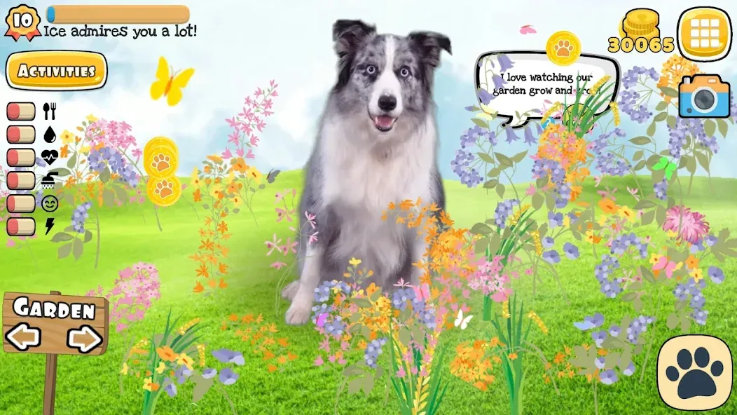 Adopt a pet : Corgi Games (Риал Петс бай Фруви) [МОД: Бесконечные деньги, Монеты и Мега MOD] Screenshot 4
