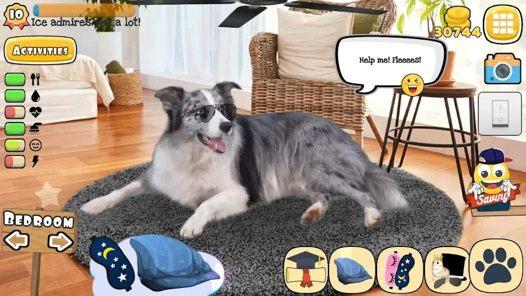 Adopt a pet : Corgi Games (Риал Петс бай Фруви) [МОД: Бесконечные деньги, Монеты и Мега MOD] Screenshot 5