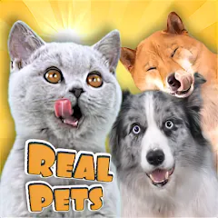 Скачать Adopt a pet : Corgi Games (Риал Петс бай Фруви) [МОД: Бесконечные деньги, Монеты и Мега MOD] | Взлом Adopt a pet : Corgi Games на Андроид