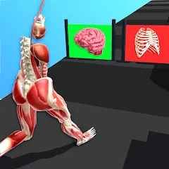 Скачать Human Run (Хуман Ран) [МОД: Много денег, Монет и Все открыто] | Взлом Human Run на Андроид