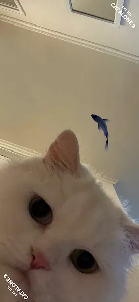 CAT ALONE 2 - Cat Toy (САТ АЛОНЕ 2) [МОД: Меню, Бесконечные монеты и Открытые уровни] Screenshot 2