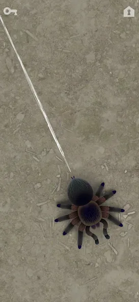 CAT ALONE 2 - Cat Toy (САТ АЛОНЕ 2) [МОД: Меню, Бесконечные монеты и Открытые уровни] Screenshot 4
