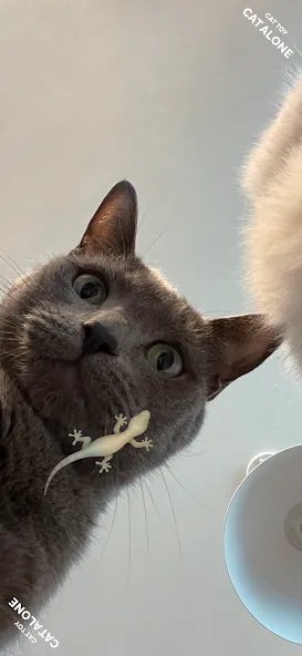 CAT ALONE - Cat Toy (САТ ЭЛОУН) [МОД: Много монет, Открытые уровни и Мега MOD] Screenshot 1