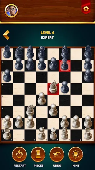 Chess - Offline Board Game [МОД: Бесконечные деньги, Монеты и Мега MOD] Screenshot 3