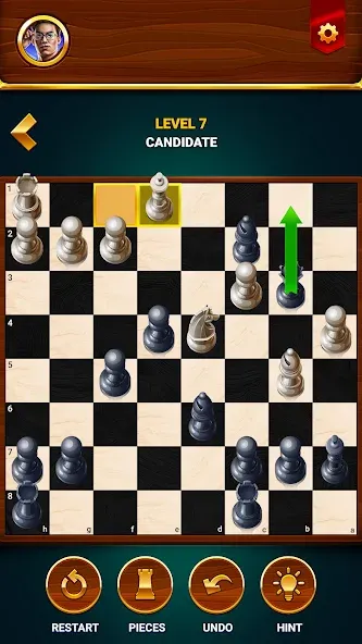 Chess - Offline Board Game [МОД: Бесконечные деньги, Монеты и Мега MOD] Screenshot 5