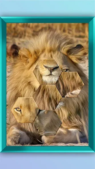 Jigsaw Puzzle - Jigsort Master (Джигсорт Пазл) [МОД: Много монет, Открытые уровни и Мега MOD] Screenshot 2