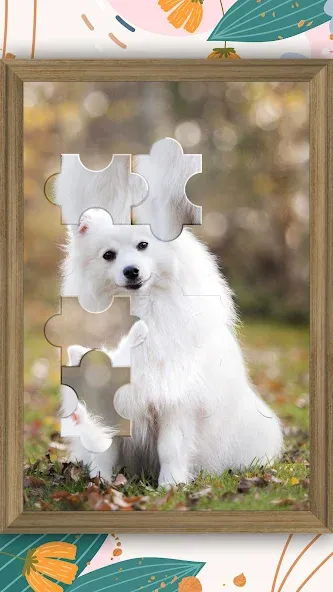 Jigsaw Puzzle - Jigsort Master (Джигсорт Пазл) [МОД: Много монет, Открытые уровни и Мега MOD] Screenshot 3