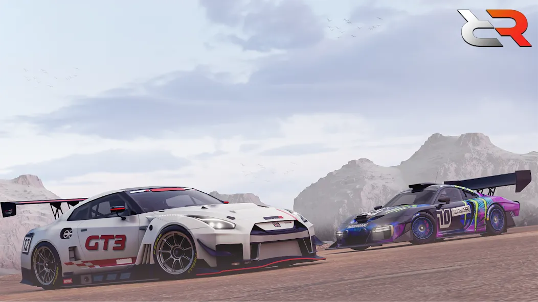 Real Rally Drift & Rally Race (Риал Ралли) [МОД: Бесконечные деньги, Монеты и Мега MOD] Screenshot 2